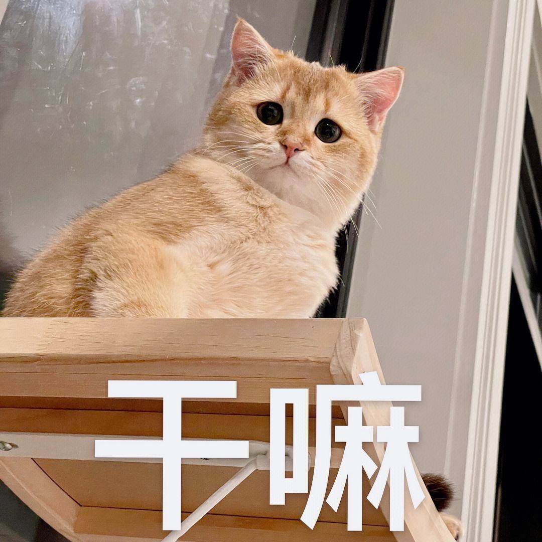 笑话十条：妈妈你看，这个姐姐的脚真好看！(图1)