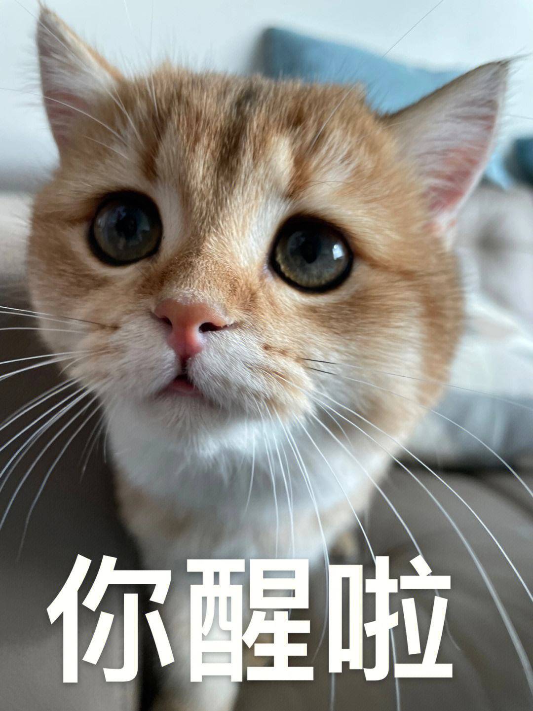 笑话十条：妈妈你看，这个姐姐的脚真好看！(图2)