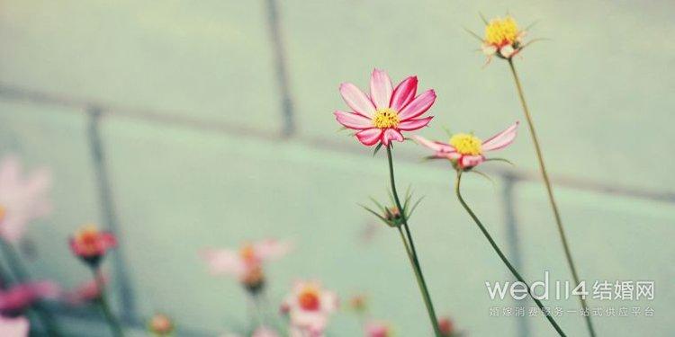 讽刺男人不专一的句子一(图1)