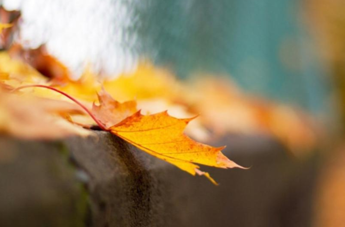 别人说“谢谢”，别再说“不用谢”，学会这三句，人人夸你情商高(图7)