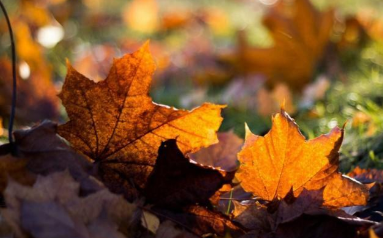 别人说“谢谢”，别再说“不用谢”，学会这三句，人人夸你情商高(图8)