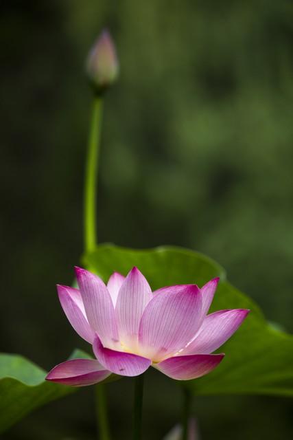 唯美走心的爱情说说，很感人的爱情句子(图2)