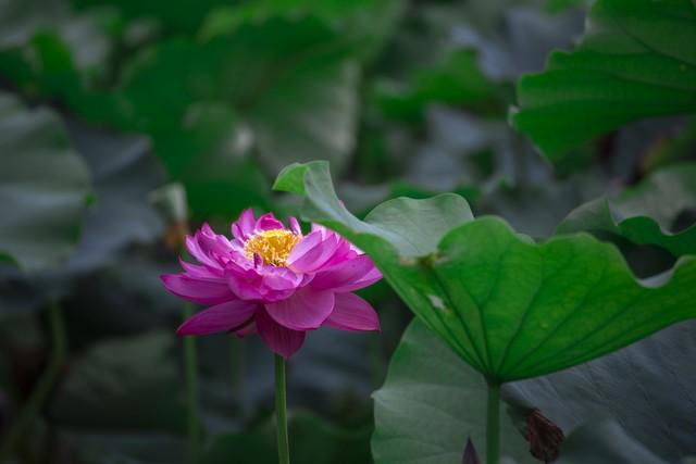 唯美走心的爱情说说，很感人的爱情句子(图3)