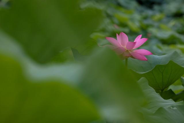 唯美走心的爱情说说，很感人的爱情句子(图7)