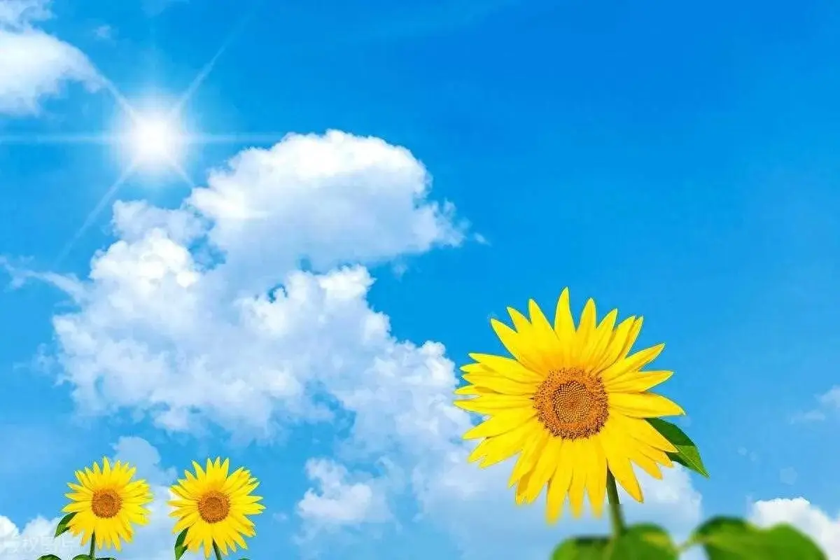 50句励志名言，助你重燃斗志，走出低谷(图1)