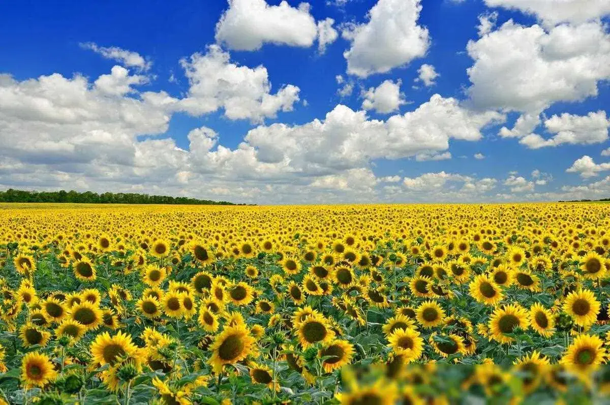 50句励志名言，助你重燃斗志，走出低谷(图2)