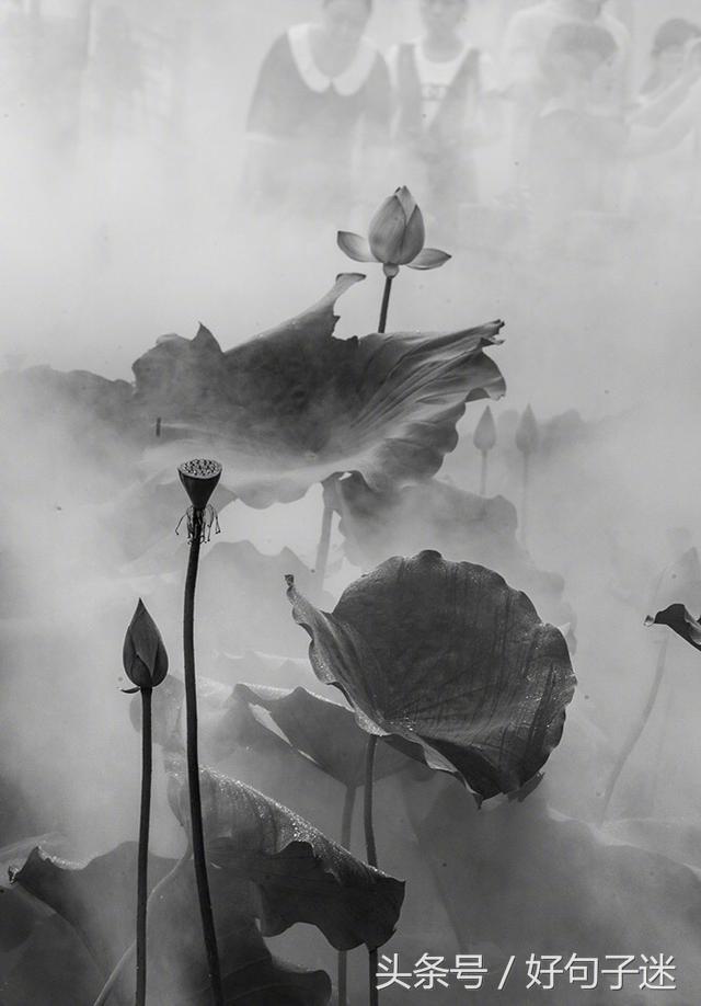 《论语》孔子经典语录，句句精辟入心，饱含人生智慧！(图1)