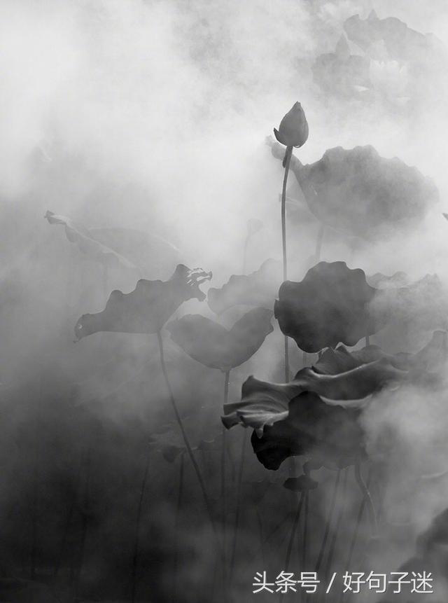 《论语》孔子经典语录，句句精辟入心，饱含人生智慧！(图3)