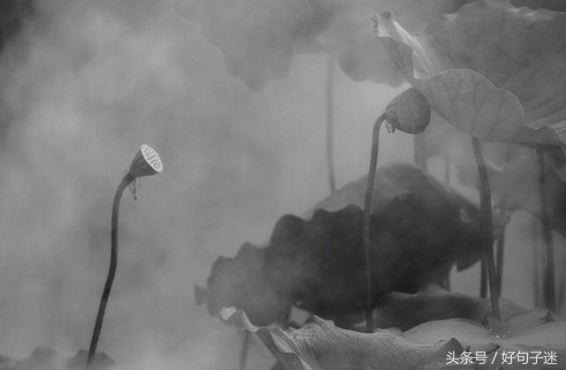 《论语》孔子经典语录，句句精辟入心，饱含人生智慧！(图4)