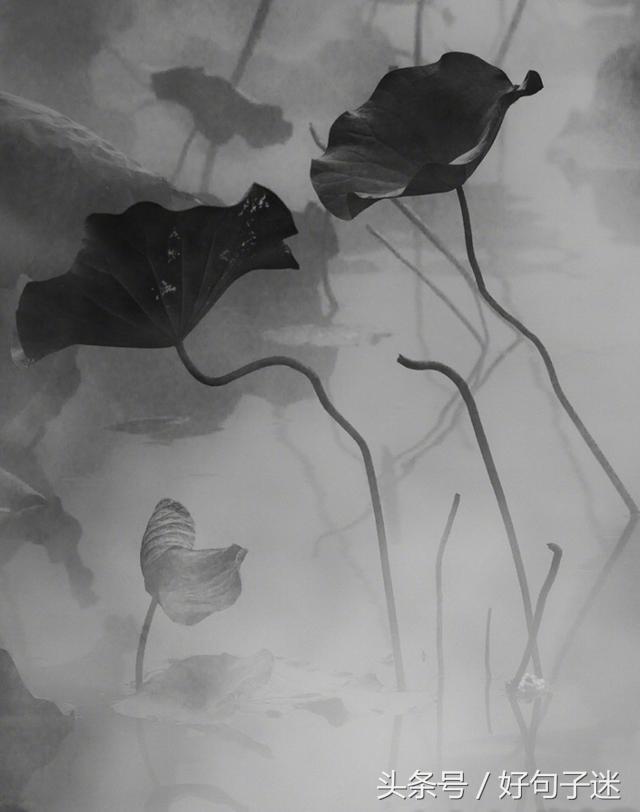 《论语》孔子经典语录，句句精辟入心，饱含人生智慧！(图6)