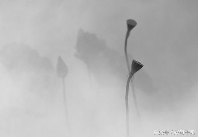 《论语》孔子经典语录，句句精辟入心，饱含人生智慧！(图7)