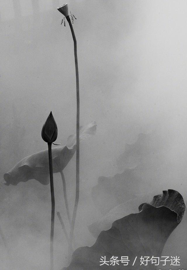 《论语》孔子经典语录，句句精辟入心，饱含人生智慧！(图8)