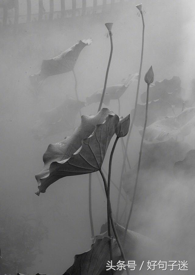 《论语》孔子经典语录，句句精辟入心，饱含人生智慧！(图9)