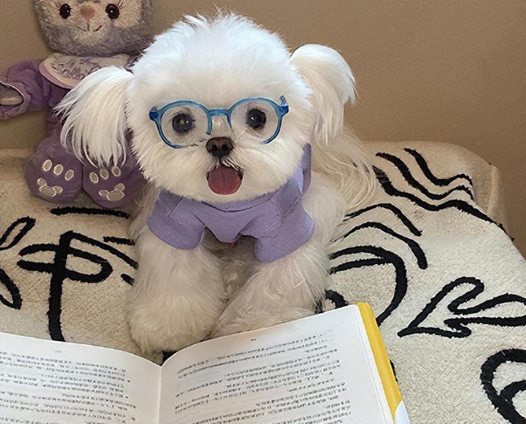 人生就像是苦咖啡语录(图1)