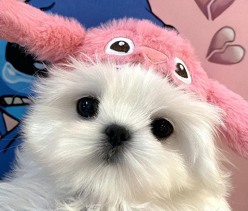 人生就像是苦咖啡语录(图2)