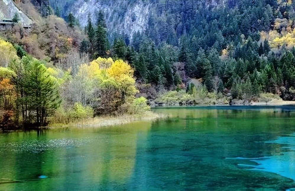 静谧与灵感的相遇，图书馆文艺气息的句子(图4)