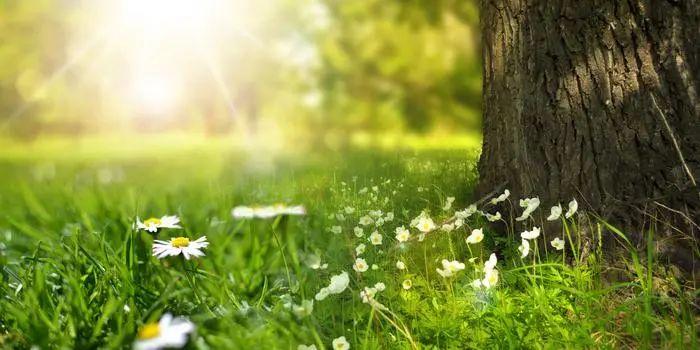 静谧与灵感的相遇，图书馆文艺气息的句子(图5)