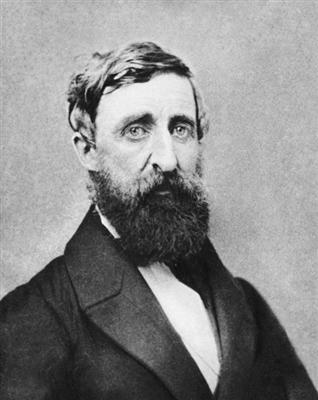 天堂是图书馆的模样:50个值得被时光眷顾的句子(图8)