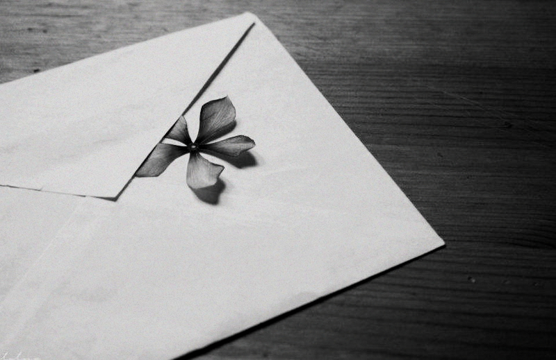 这30个成语，记录伟大的战疫历程(图5)