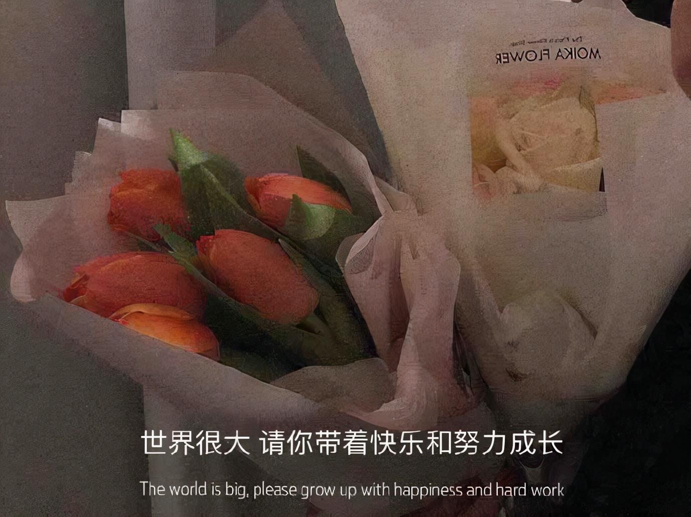 适合发给对象的宝藏情话(图4)