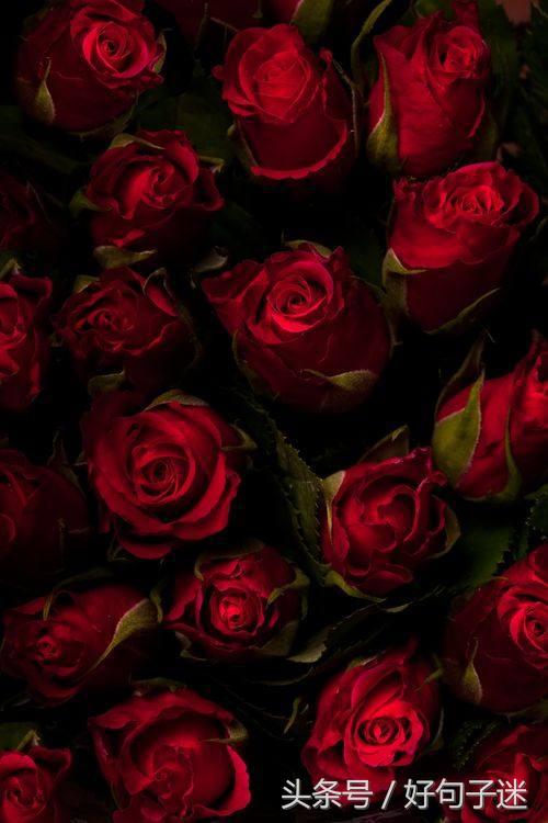 写给男朋友的情话短句，句句感人，让他记住一辈子！(图1)