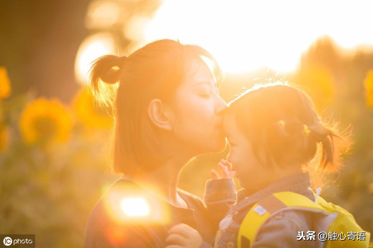 15条暖心句子:星光不问赶路人，时光不负有心人(图1)