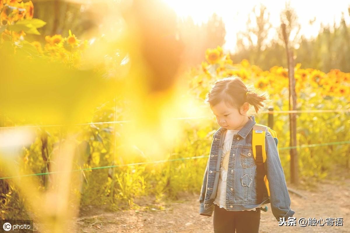 15条暖心句子:星光不问赶路人，时光不负有心人(图3)