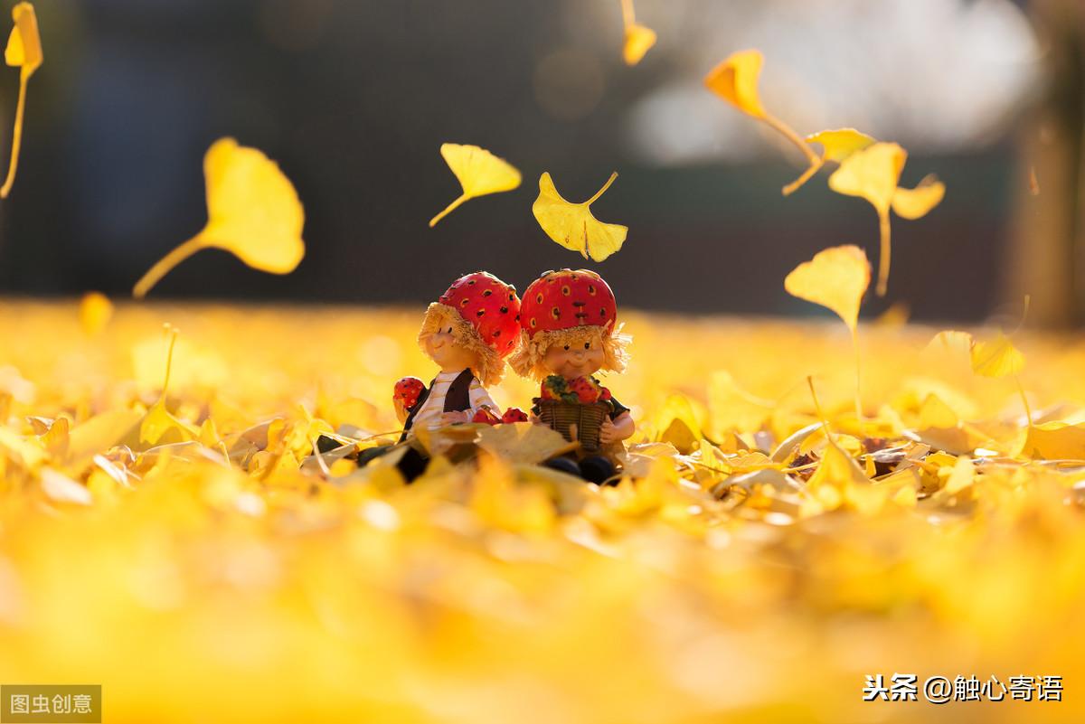 15条暖心句子:星光不问赶路人，时光不负有心人(图4)