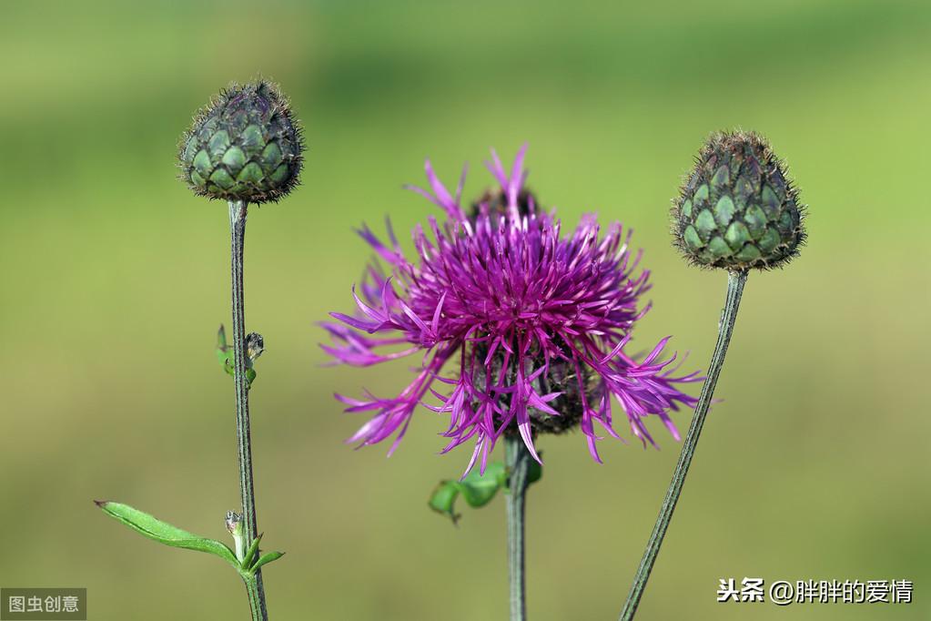 星光不问赶路人，时光不负有心人；不为往事扰，余生只愿笑(图3)