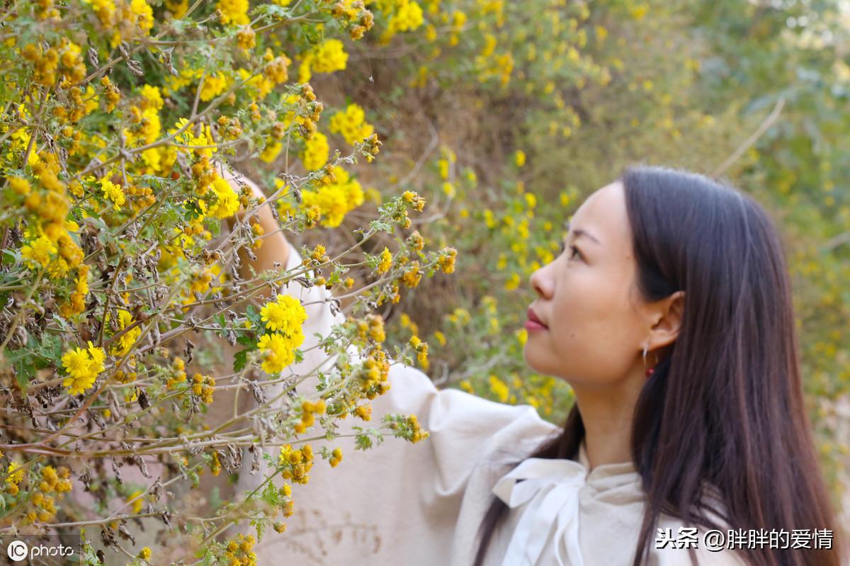 星光不问赶路人，时光不负有心人；不为往事扰，余生只愿笑(图4)
