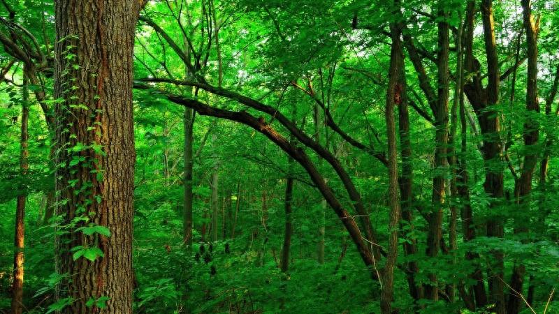 励志语录：用坚持和努力赢得成功(图1)