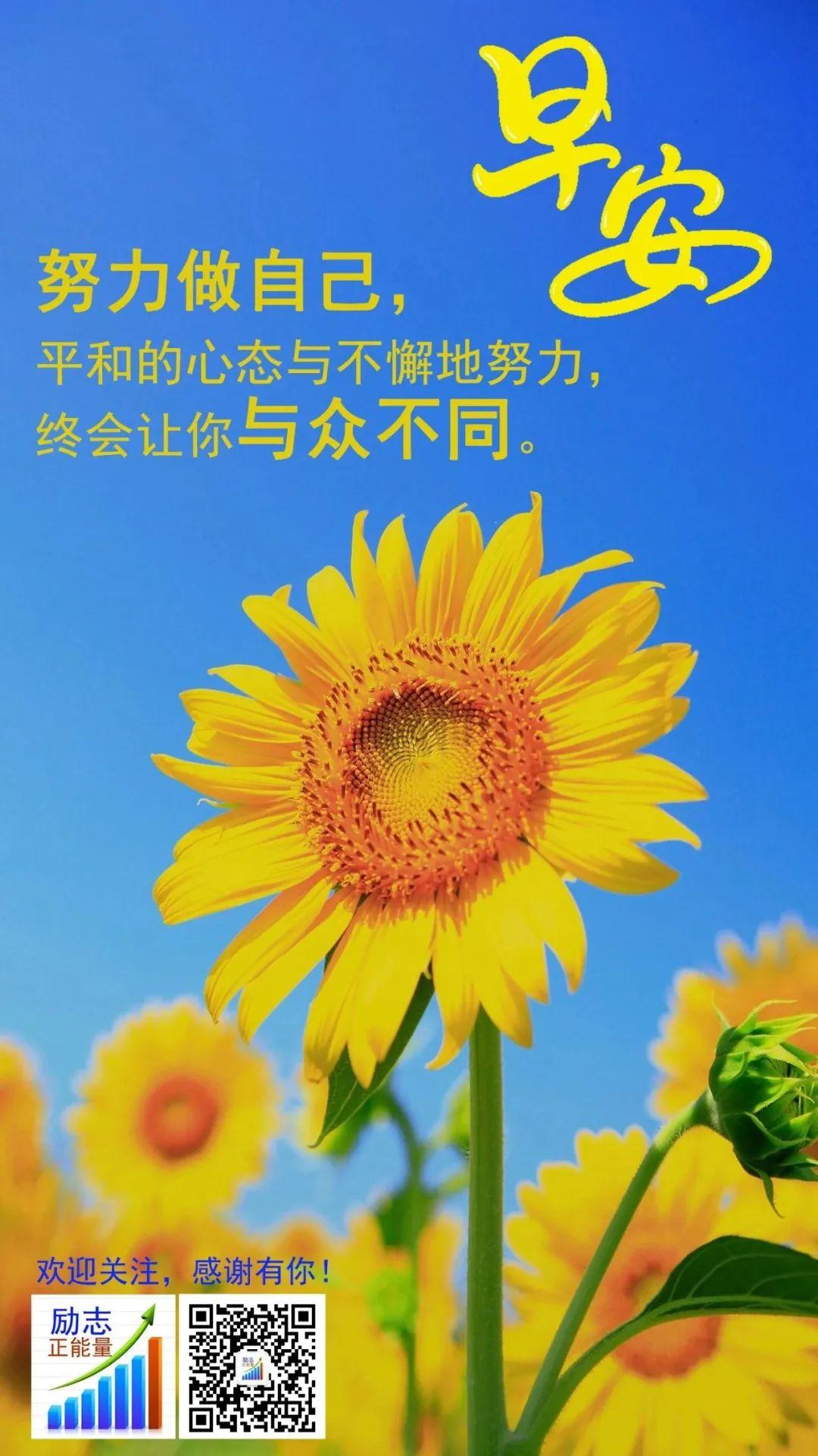 决不卑微地苟活着，要为自己的梦想而努力奋斗，哲理励志句子(图6)