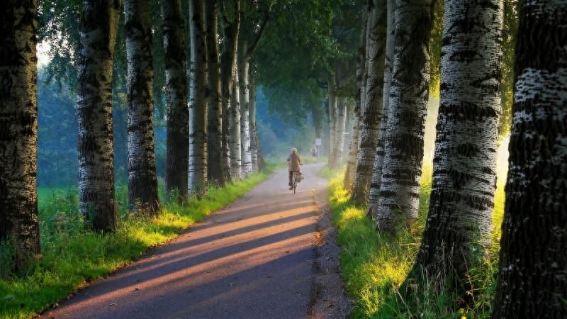 励志语录：用坚持和努力实现自我超越的梦想(图1)