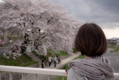 梅花开，离别散，无情灯，易燃尘红，古风句子(图4)