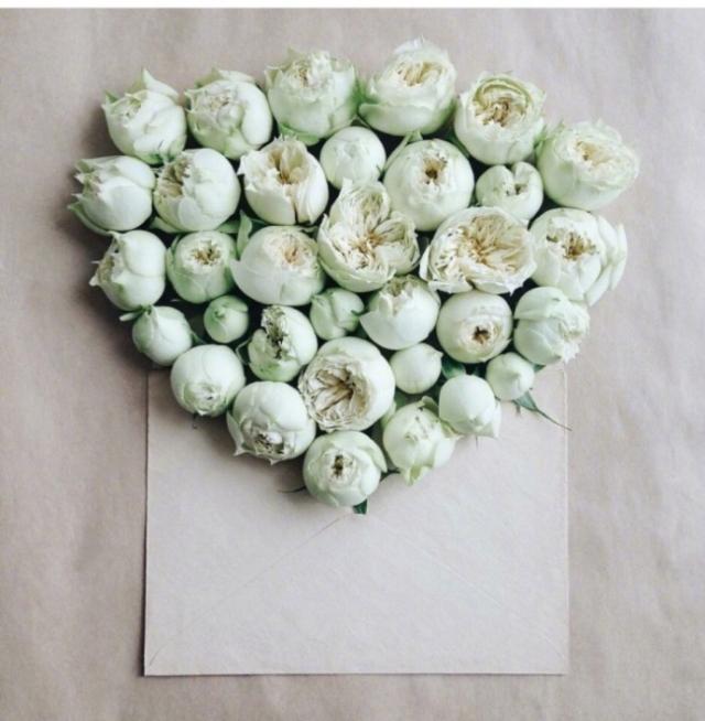 大彻大悟的感悟句子：人生不必过于计较：钱多钱少常有就好(图3)