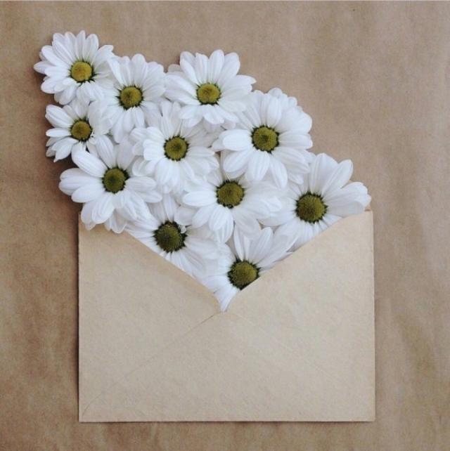 大彻大悟的感悟句子：人生不必过于计较：钱多钱少常有就好(图4)