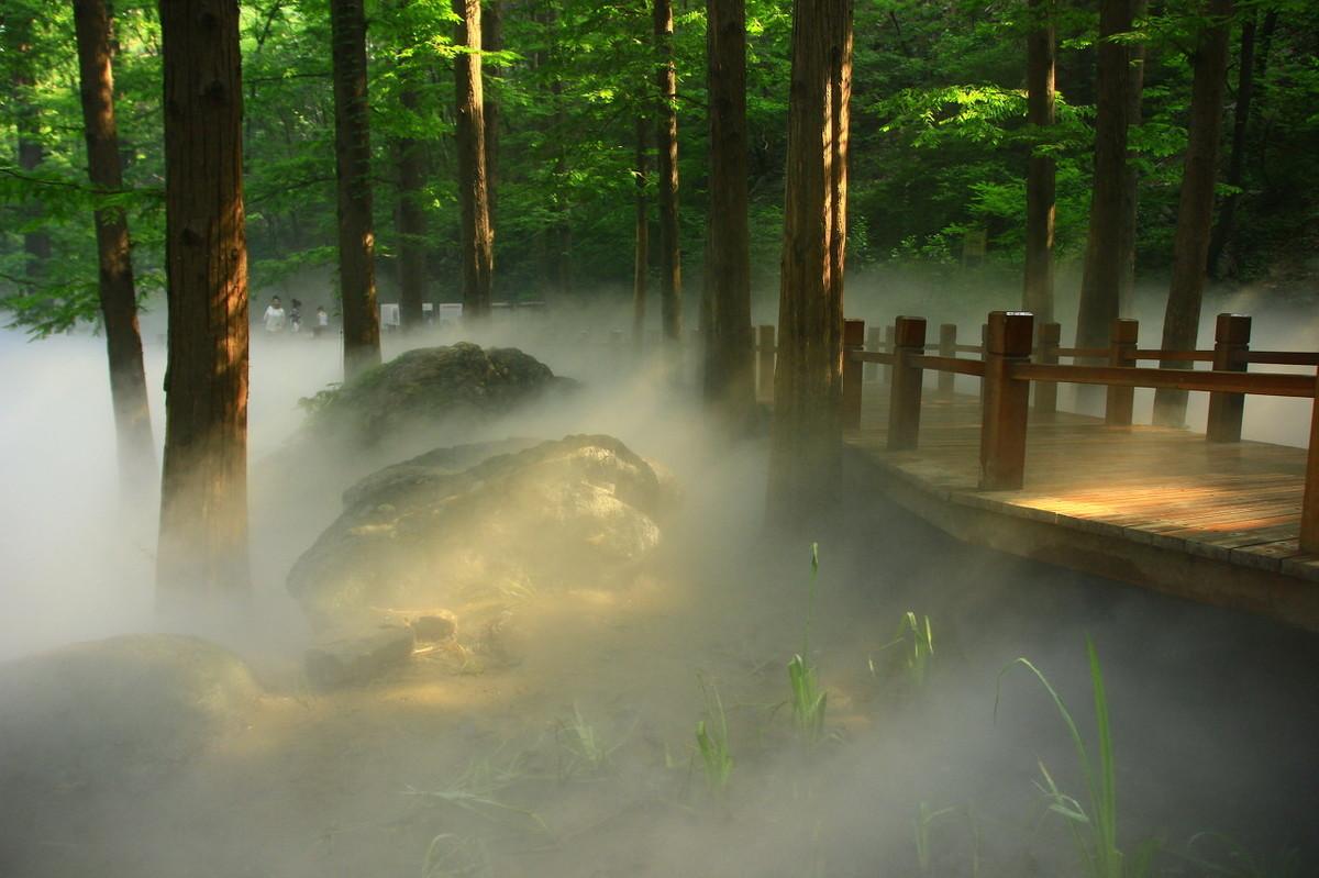 6首令人心旷神怡的唯美桃花诗，把人间三月变成了最美的春天(图6)