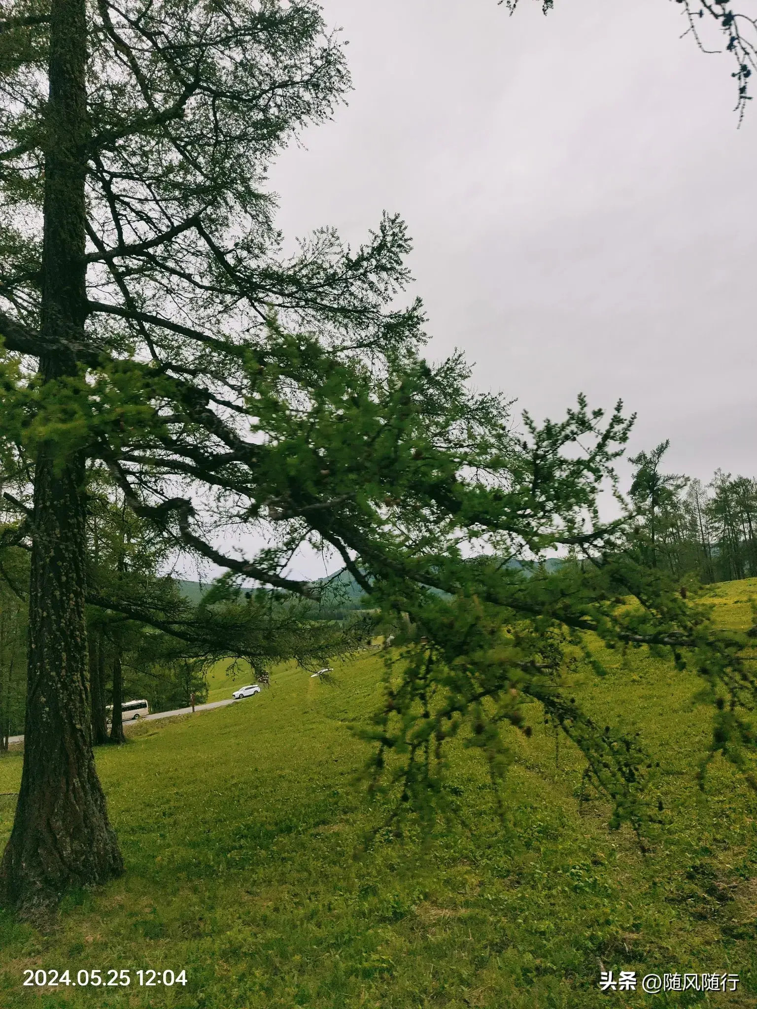 父爱如山，好好珍惜有父亲陪伴的日子(图2)