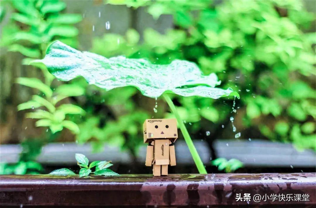 陌生人的正能量 ｜2篇满分作文《一面之缘》，温暖励志，发人深省(图1)