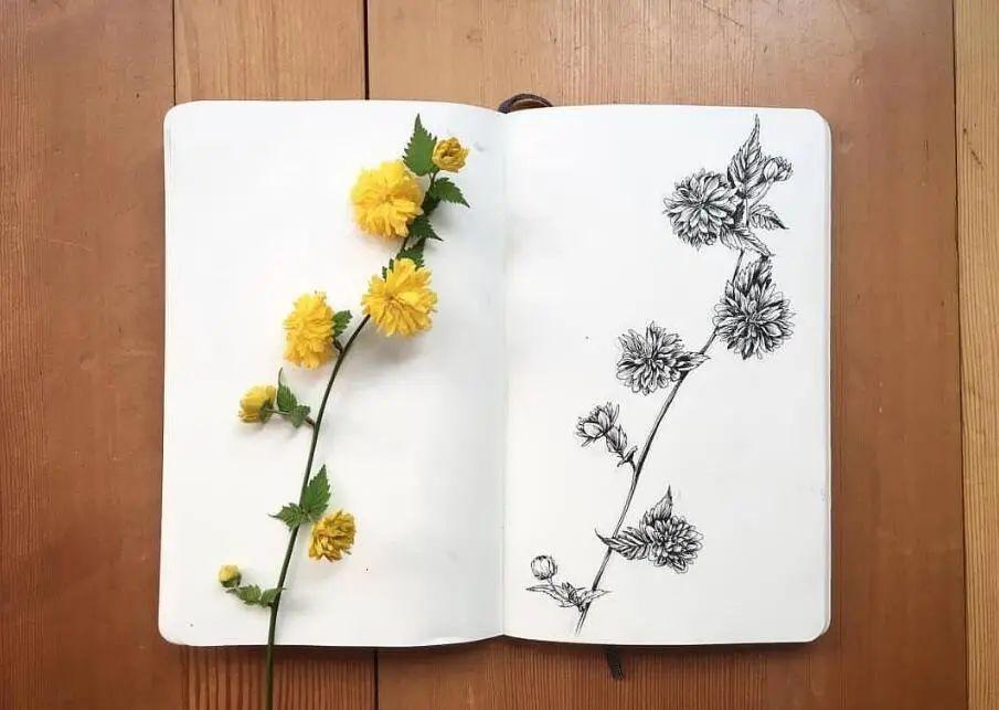 微信经典唯美的句子，适合长期不发朋友圈的你！(图3)