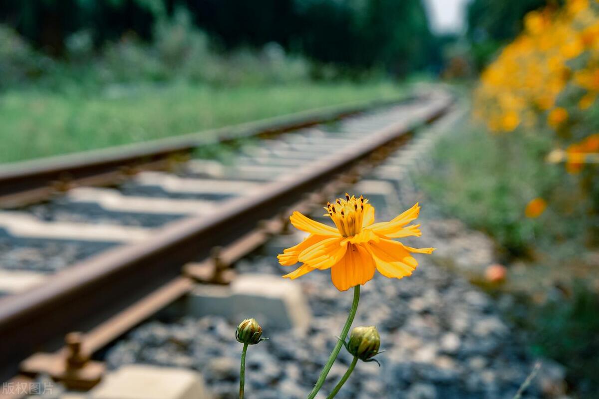 人生长路，何为远方？不愁路远，只愿心近(图2)