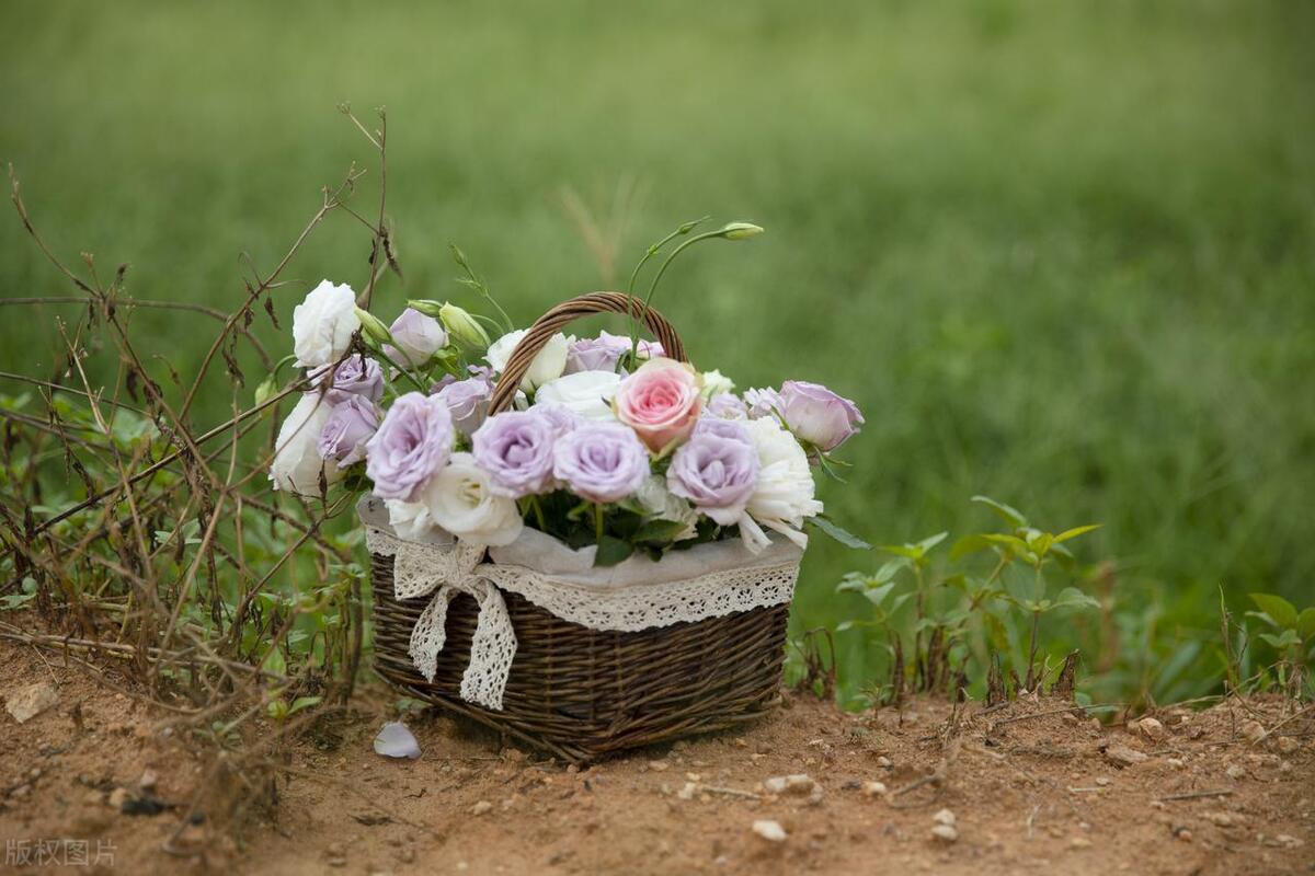 人生长路，何为远方？不愁路远，只愿心近(图6)