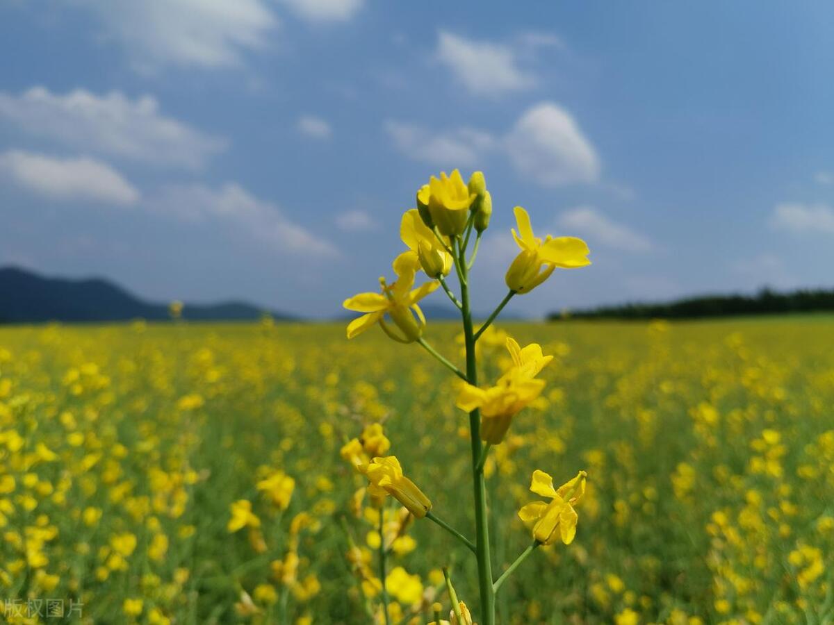 人生长路，何为远方？不愁路远，只愿心近(图8)
