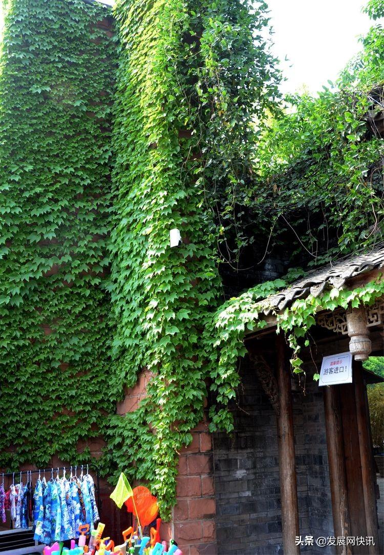 浓郁成都味，精彩黄龙溪(图22)