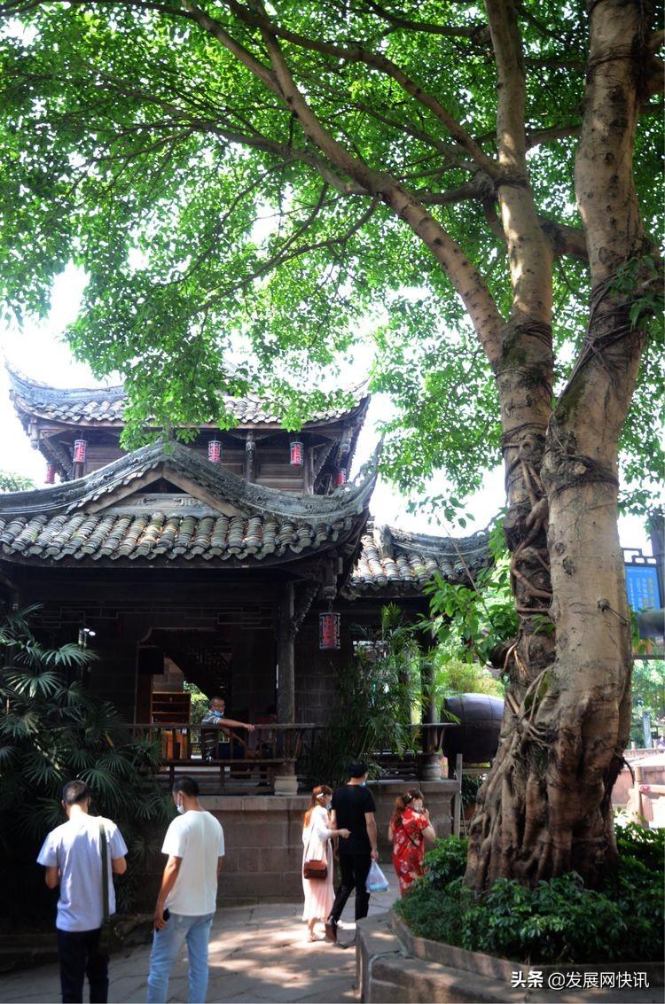 浓郁成都味，精彩黄龙溪(图24)