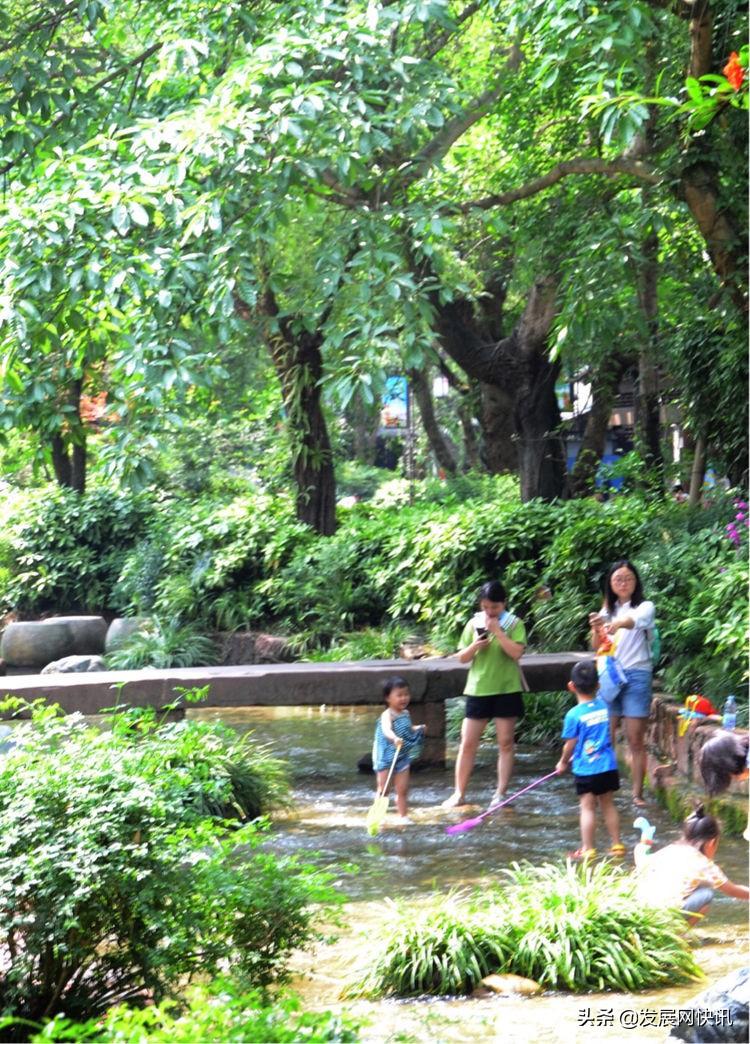 浓郁成都味，精彩黄龙溪(图40)