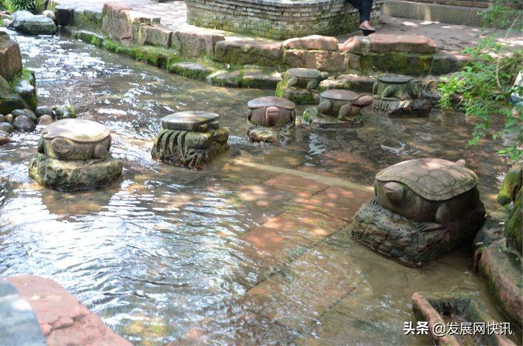 浓郁成都味，精彩黄龙溪(图41)