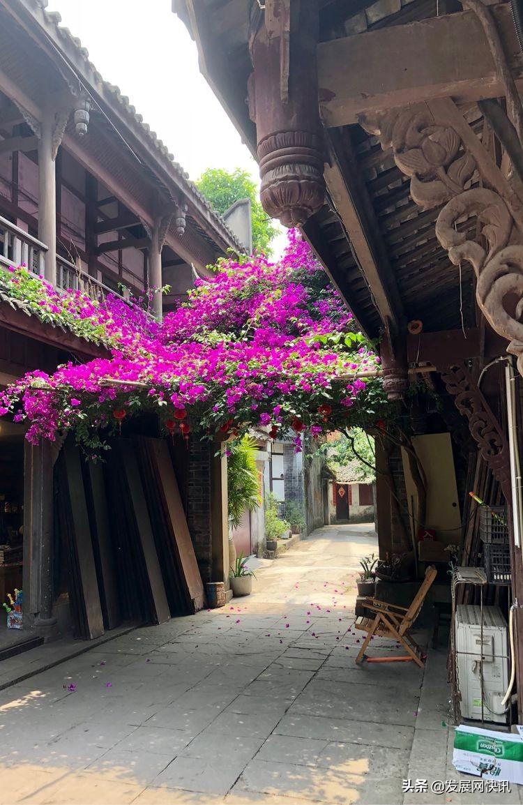 浓郁成都味，精彩黄龙溪(图51)