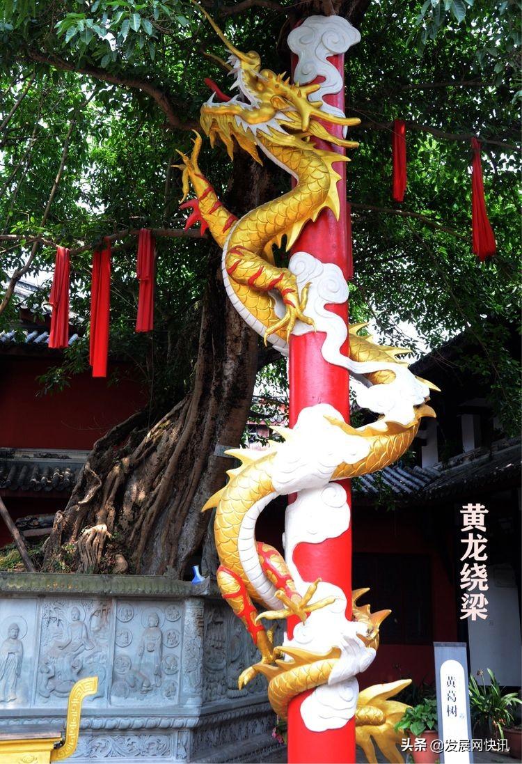 浓郁成都味，精彩黄龙溪(图85)