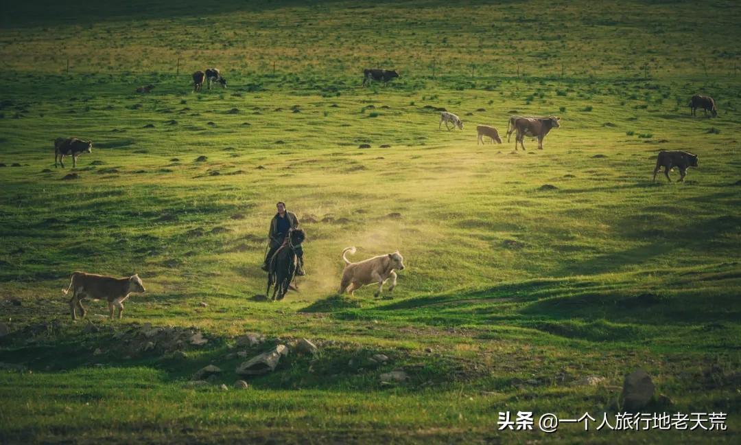 夏天最美的12条自驾线，未来三个月沿途美成天堂，第一条就想出发(图21)